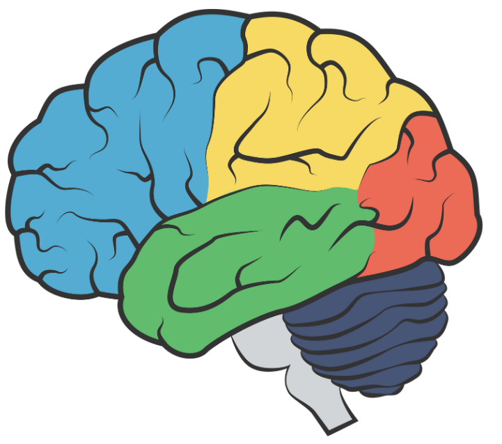 Emotional Dysregulated system